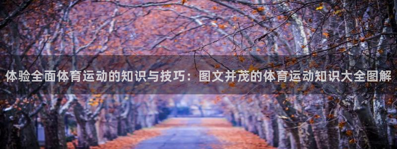 678体育官网