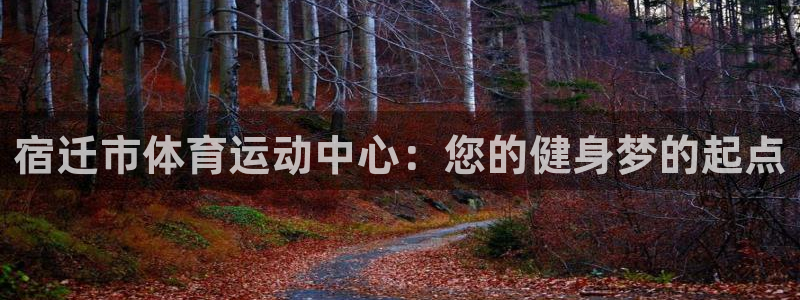 678体育知识