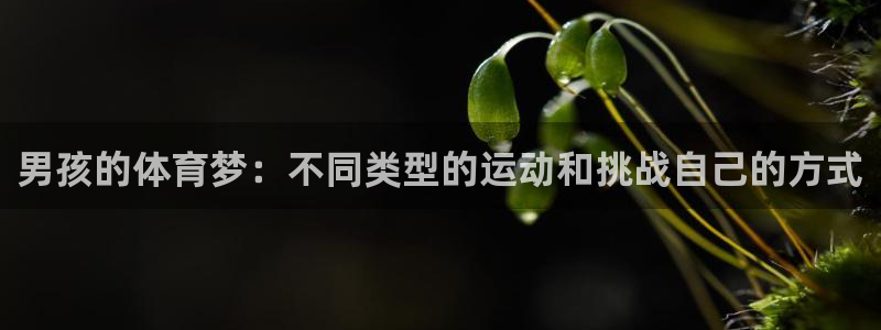 678体育官网地址