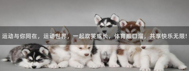 678体育知识