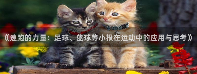 皇冠678体育