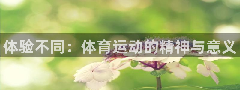678体育