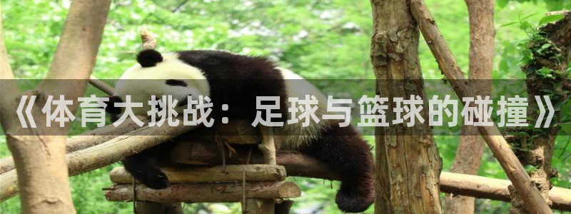 678体育官网下载
