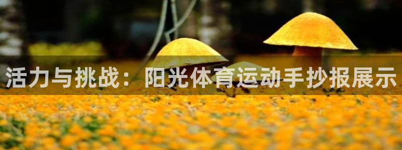 678体育