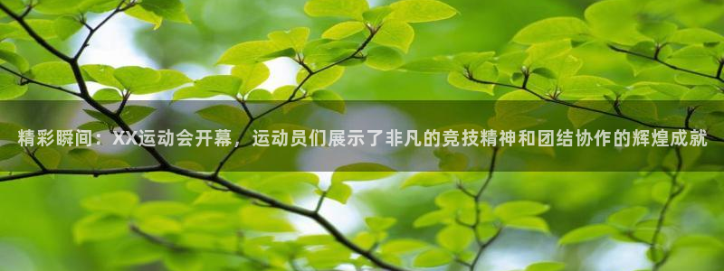 678体育app