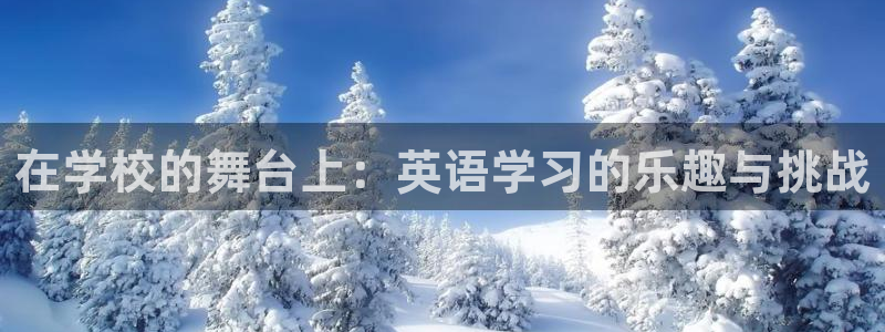 678体育app